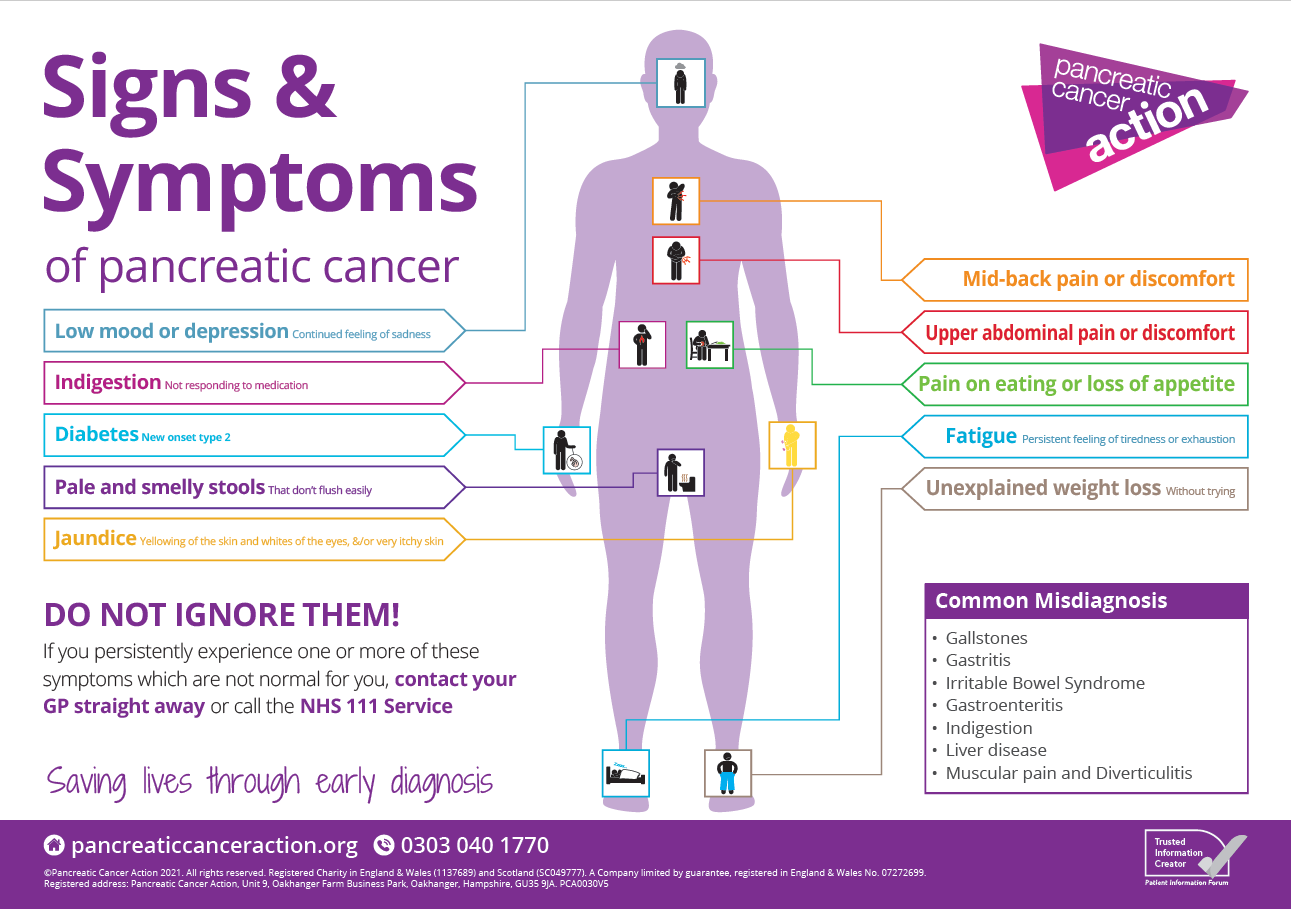 Pancreatic Cancer Signs and Symptoms graphic